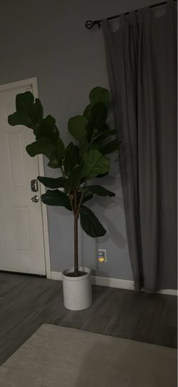 FICA tree
