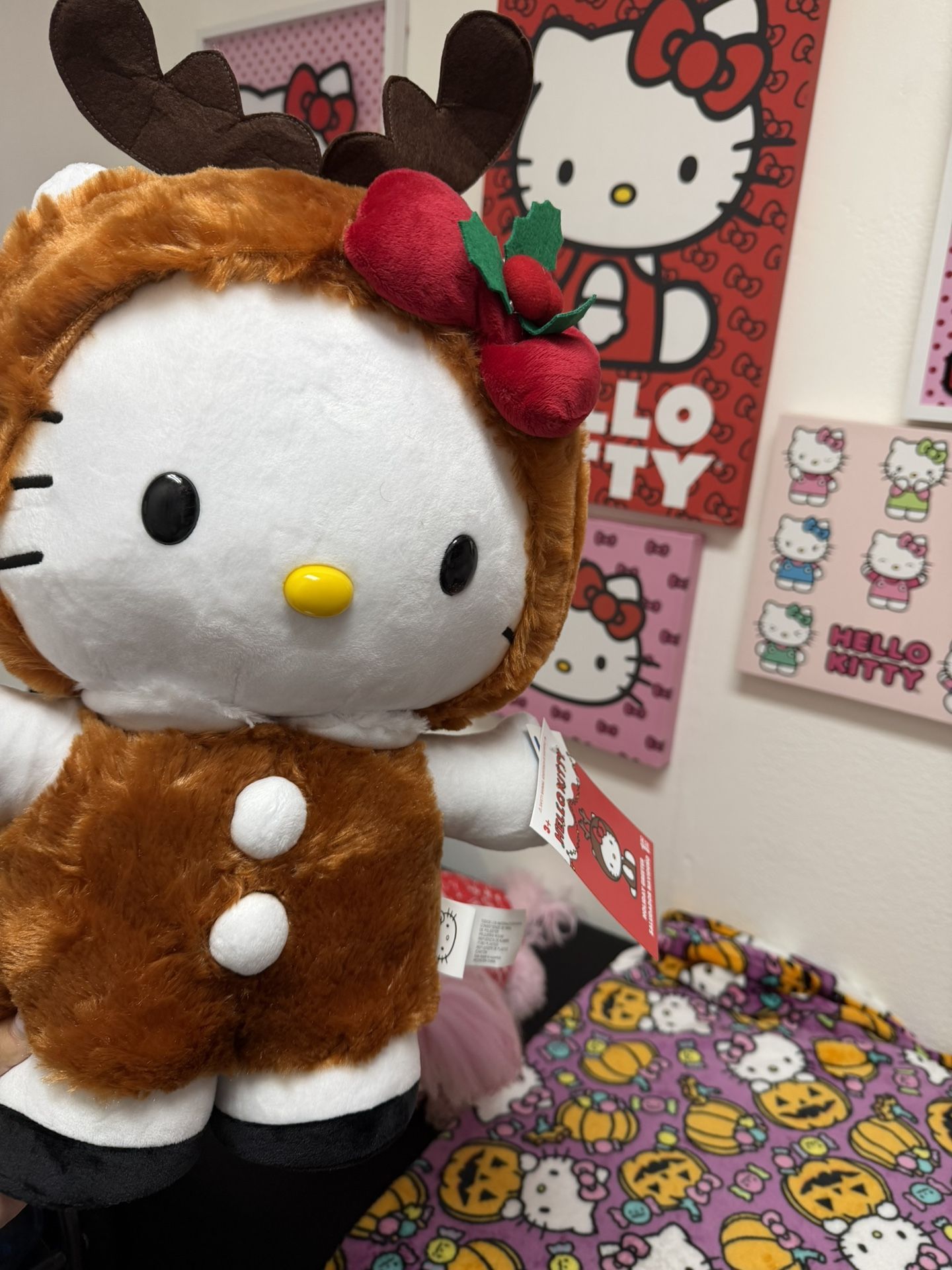 greeter hello kitty 