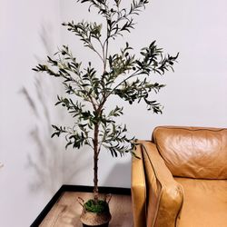 6ft Faux Olive Tree and Basket 
