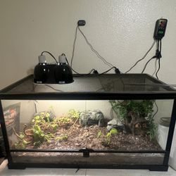 Reptile Tanks 40gal 