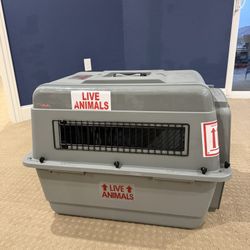 Dog Crate