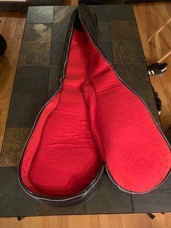 Soft Padded Electric Guitar Case (Leather/Felt?)