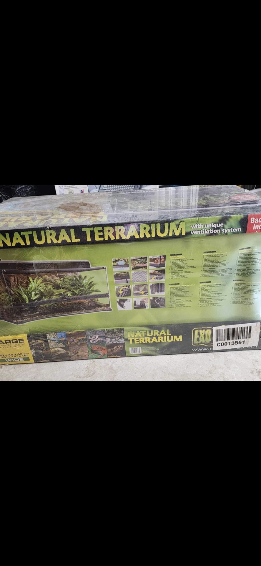 natural terrarium new