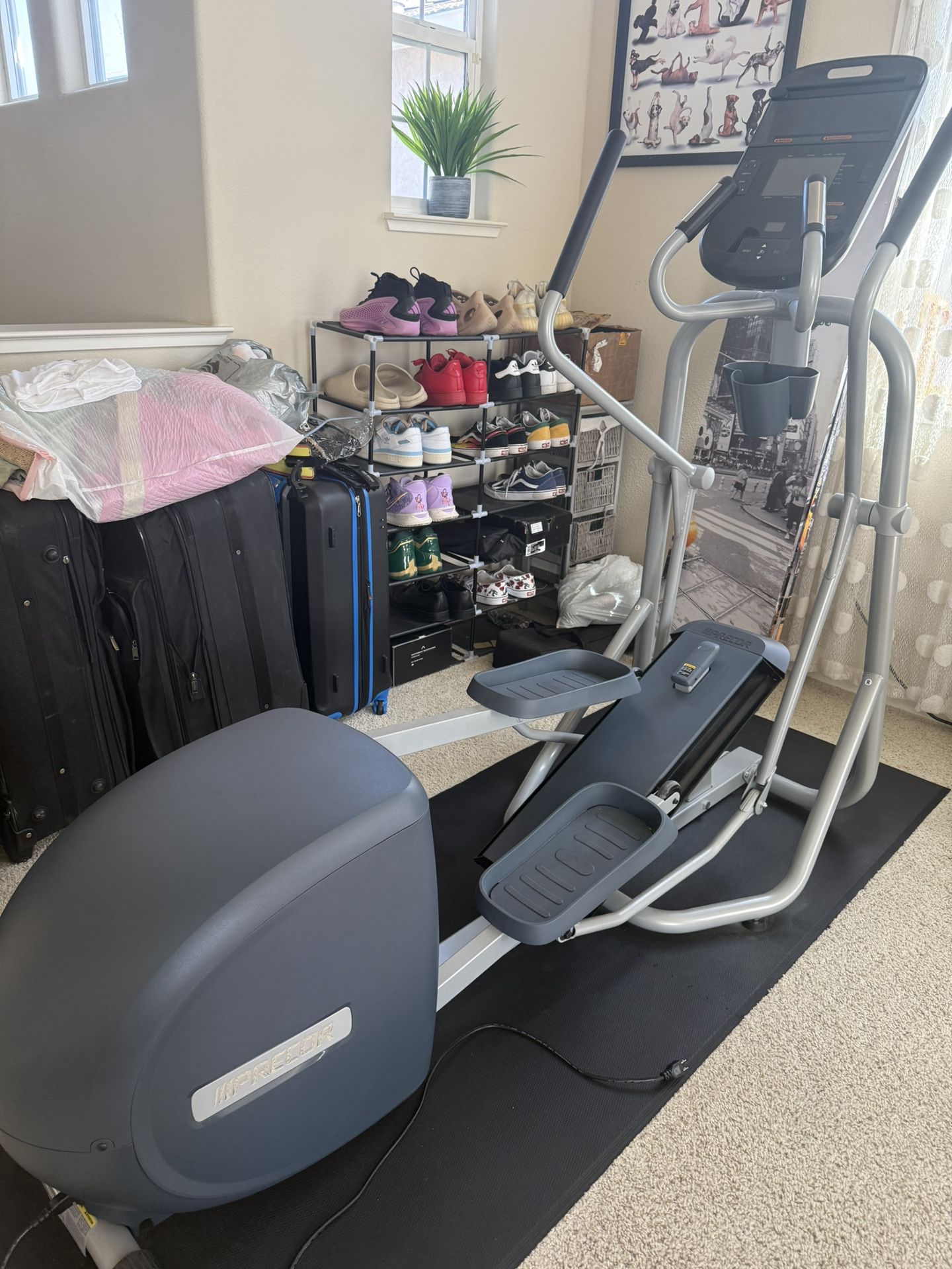 Precor Energy Series Elliptical 245/225/222/221