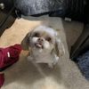 MAXAAMILLIAN
