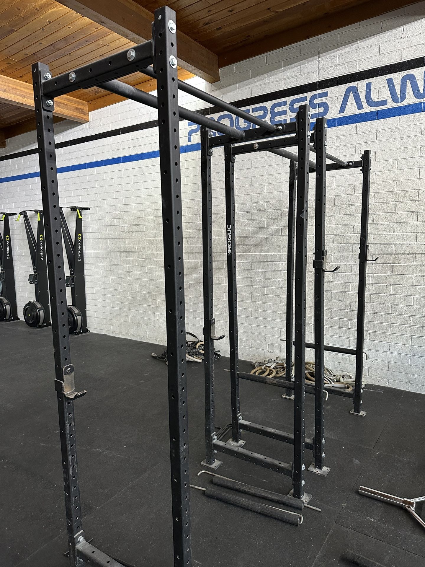 Rogue Echo Rigs (2 Available)