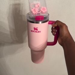 Flamingo Special Edition Stanley Cup