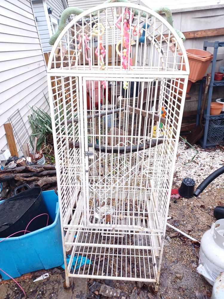 Bird Cage Or Parrot Cage