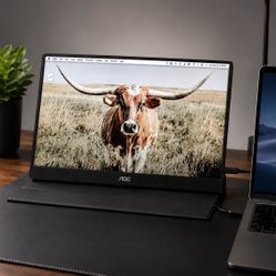 AOC 16T20 Portable Monitor 15.6" FHD 1080p IPS Display