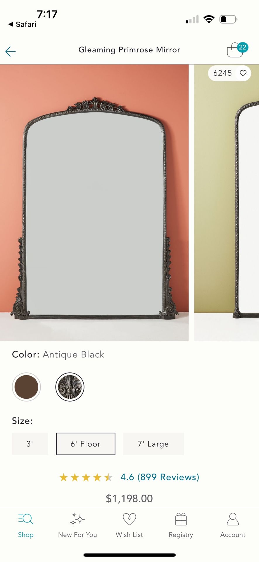Anthropologie Primrose Mirror 6’ Floor in Antique Black