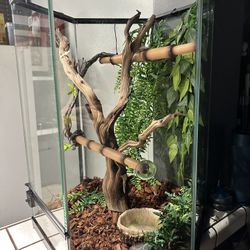 Hexagon Reptile Tank 