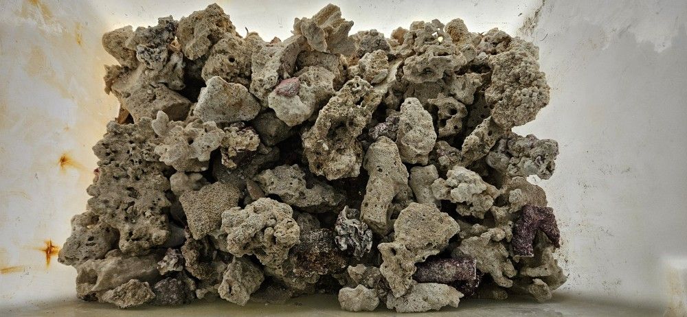 Many Various Sizes Of Saltwater Fish Tank Aquarium Reef Rock (Plus Bin)