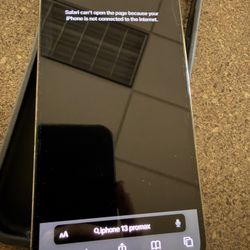 Iphone Promax 13 