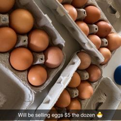 Eggs/Huevos $5 