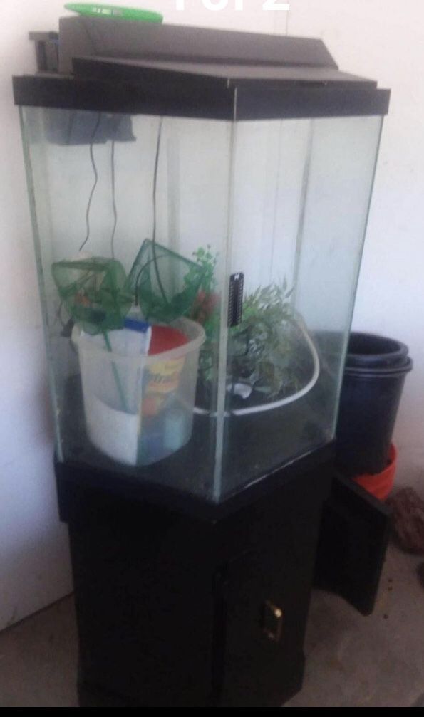 Fish Tank hexagon