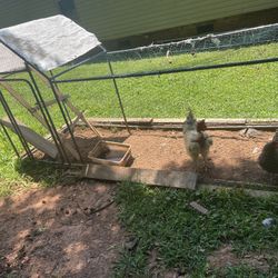 Chicken House With The Rooster And The Chicken Including 
