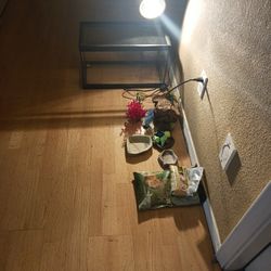 Tank With Accessories 