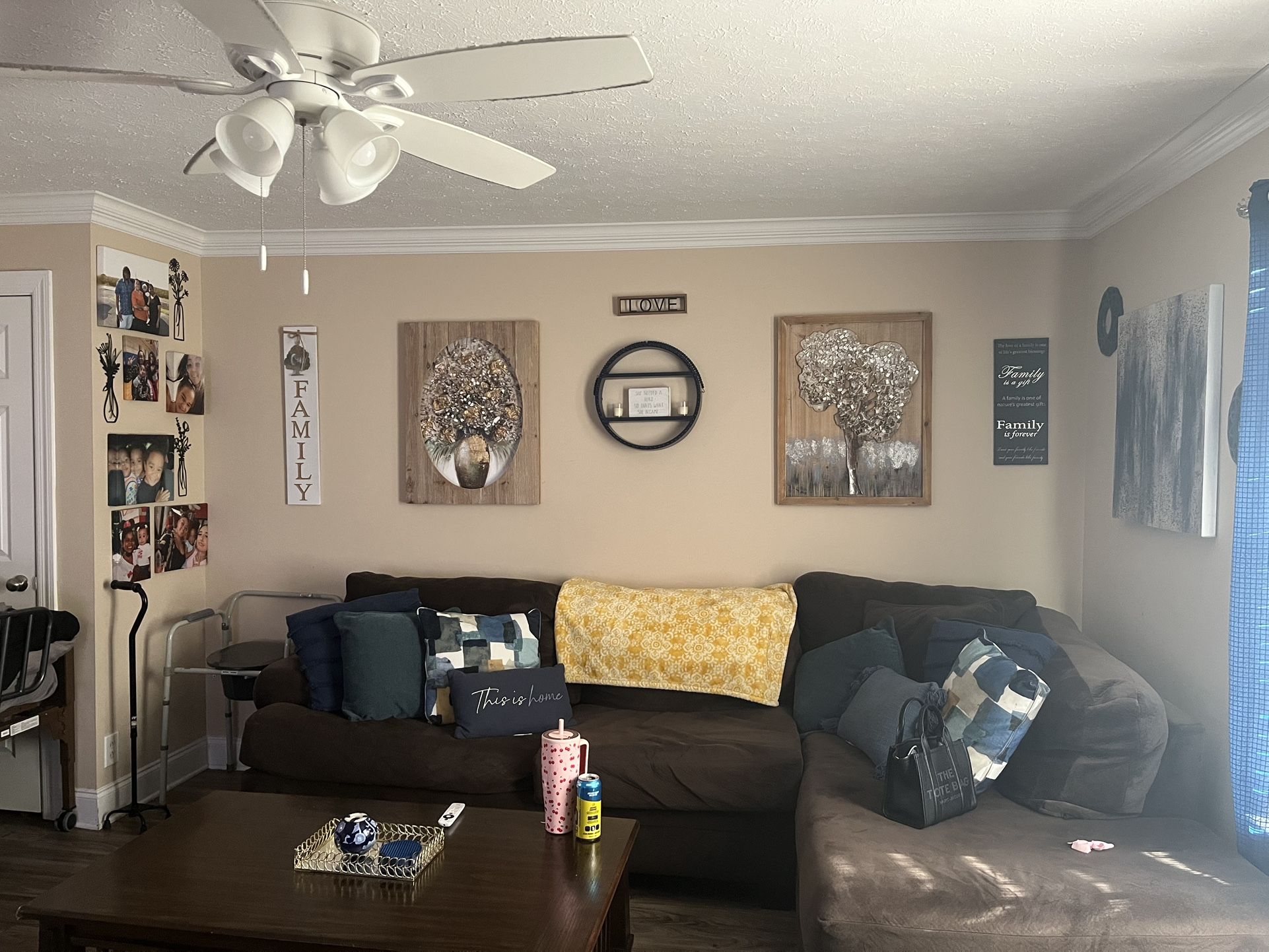 Sectional Couch