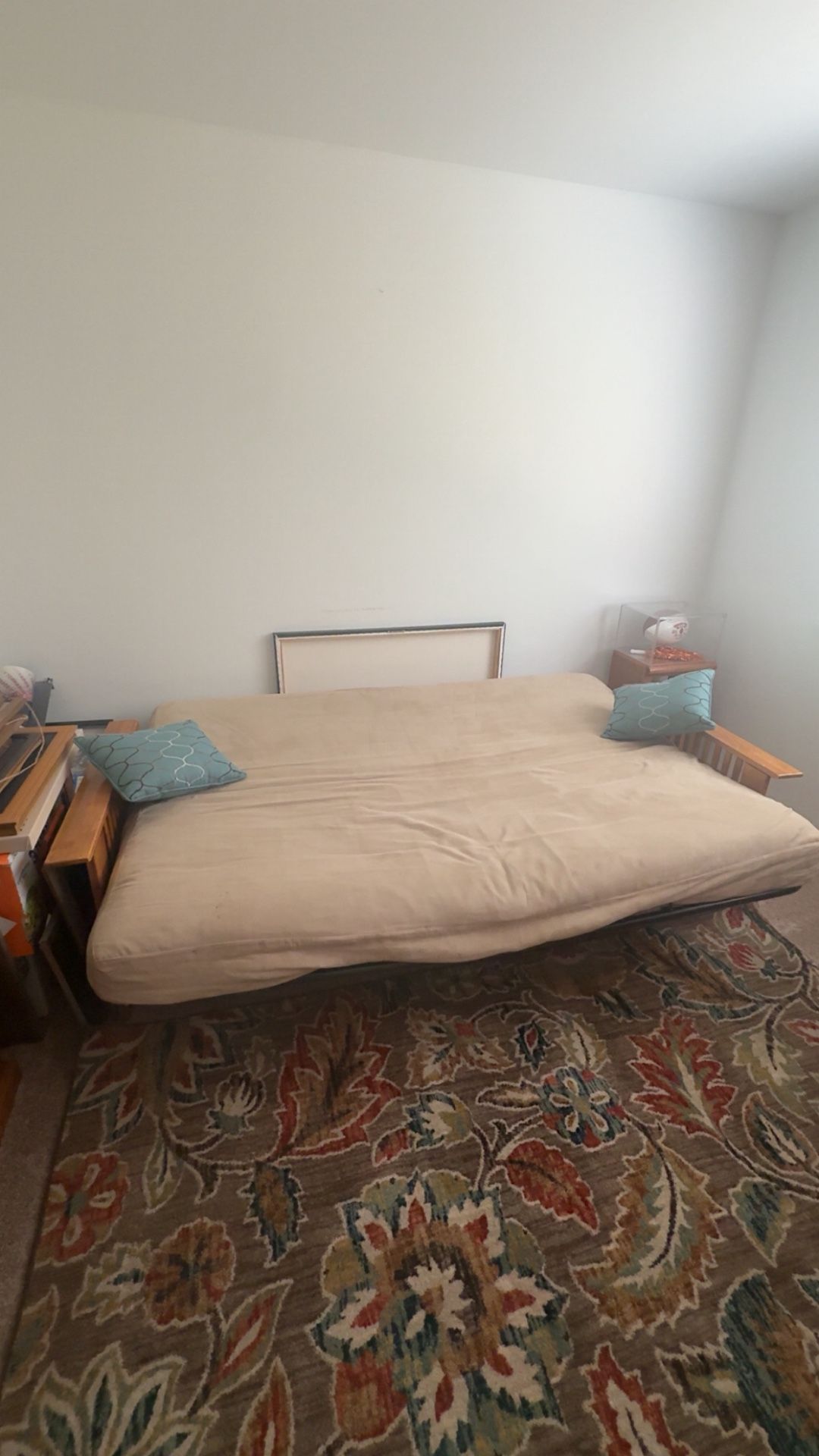 Futon Couch And Pullout Bed