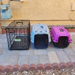 Dogs Crate