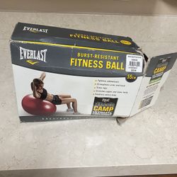 Everlast Fitness Ball 