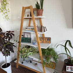 Book/Plant Shelf