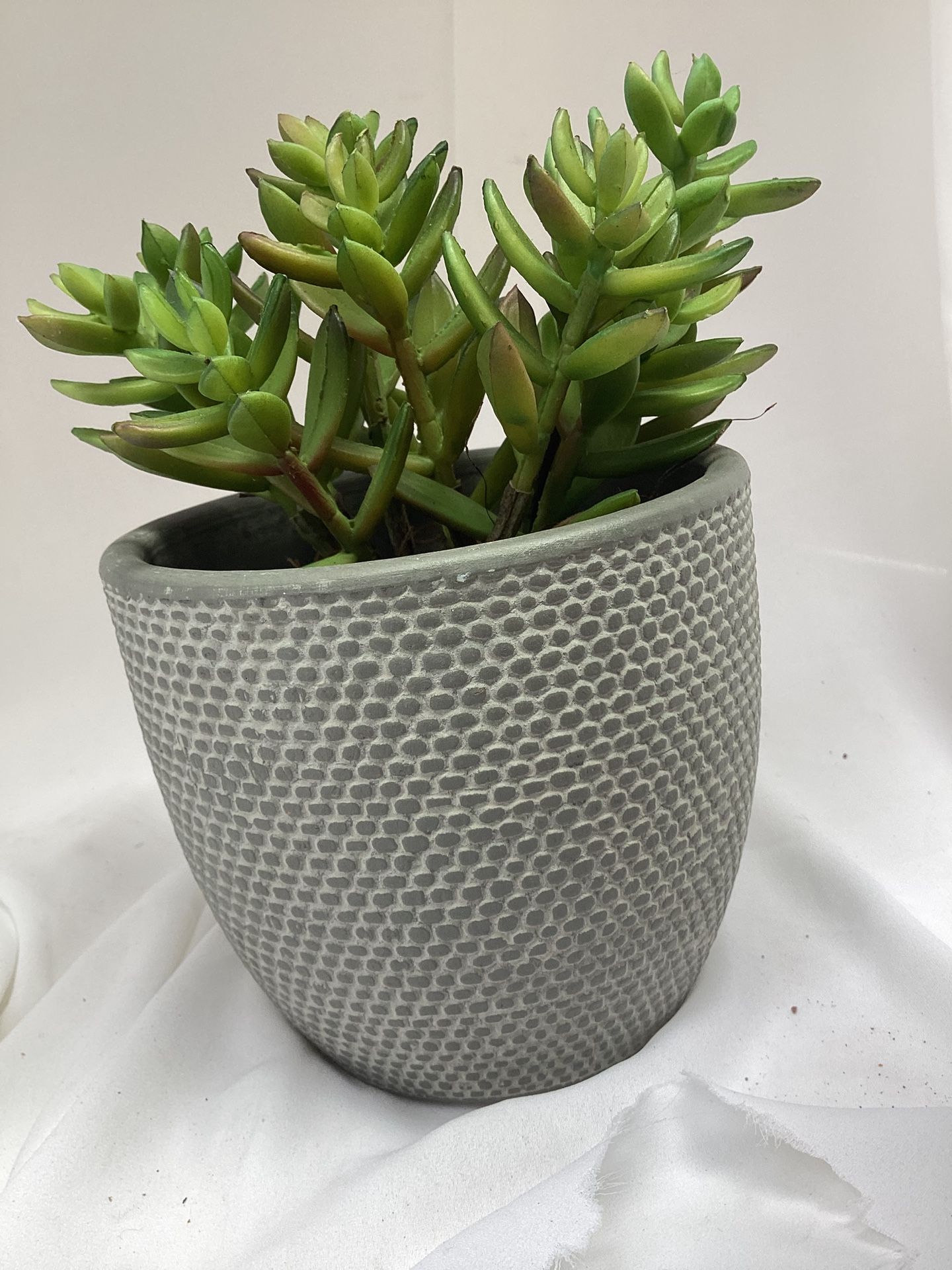 1299 Mini Suculent. Faux Plant With Nice Pot.