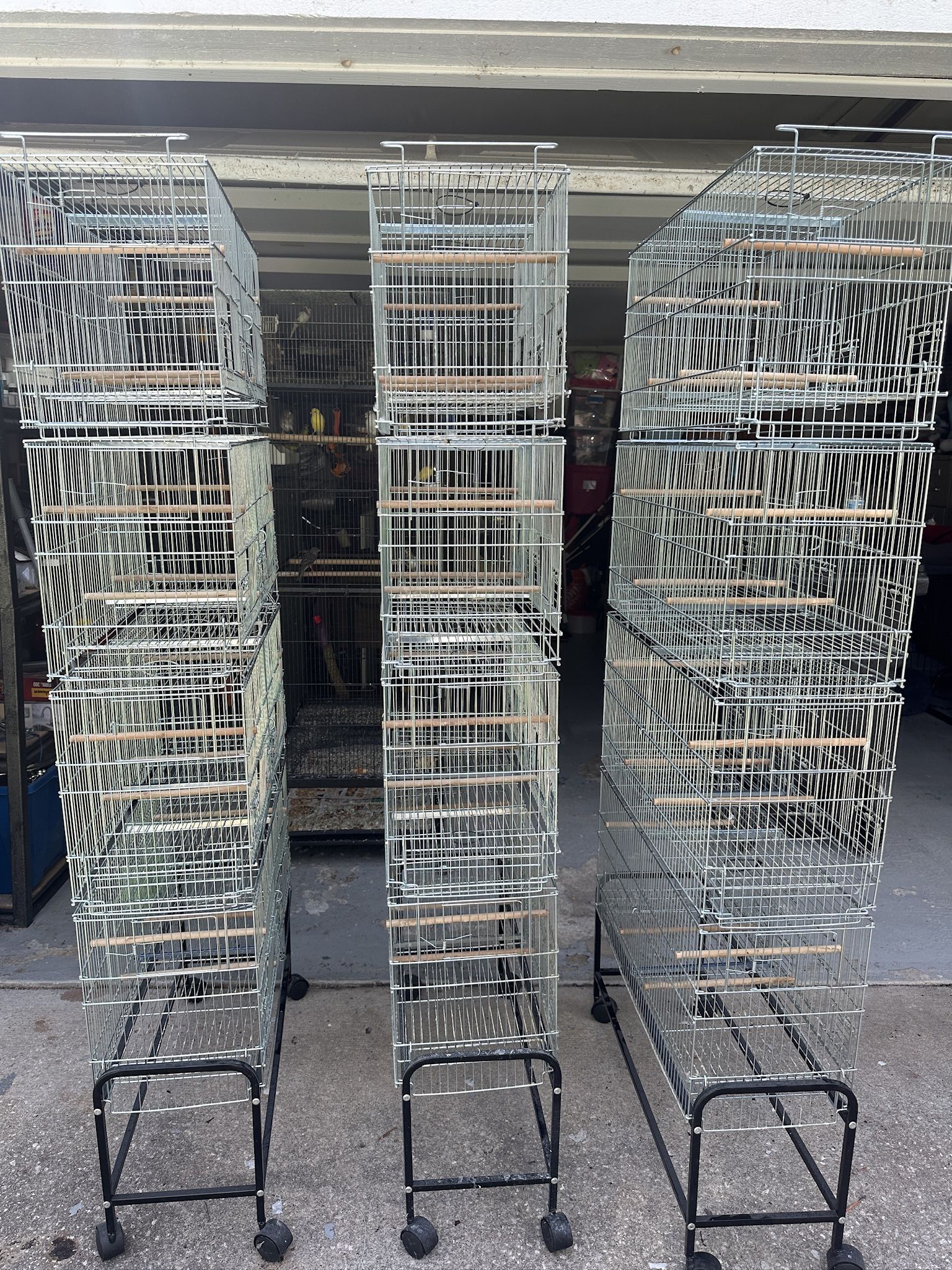 Bird Cages