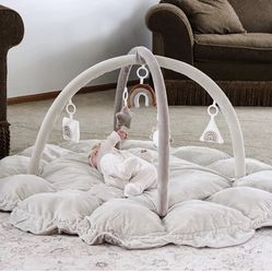 5 In 1 Play Gym