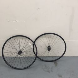 Back Rims