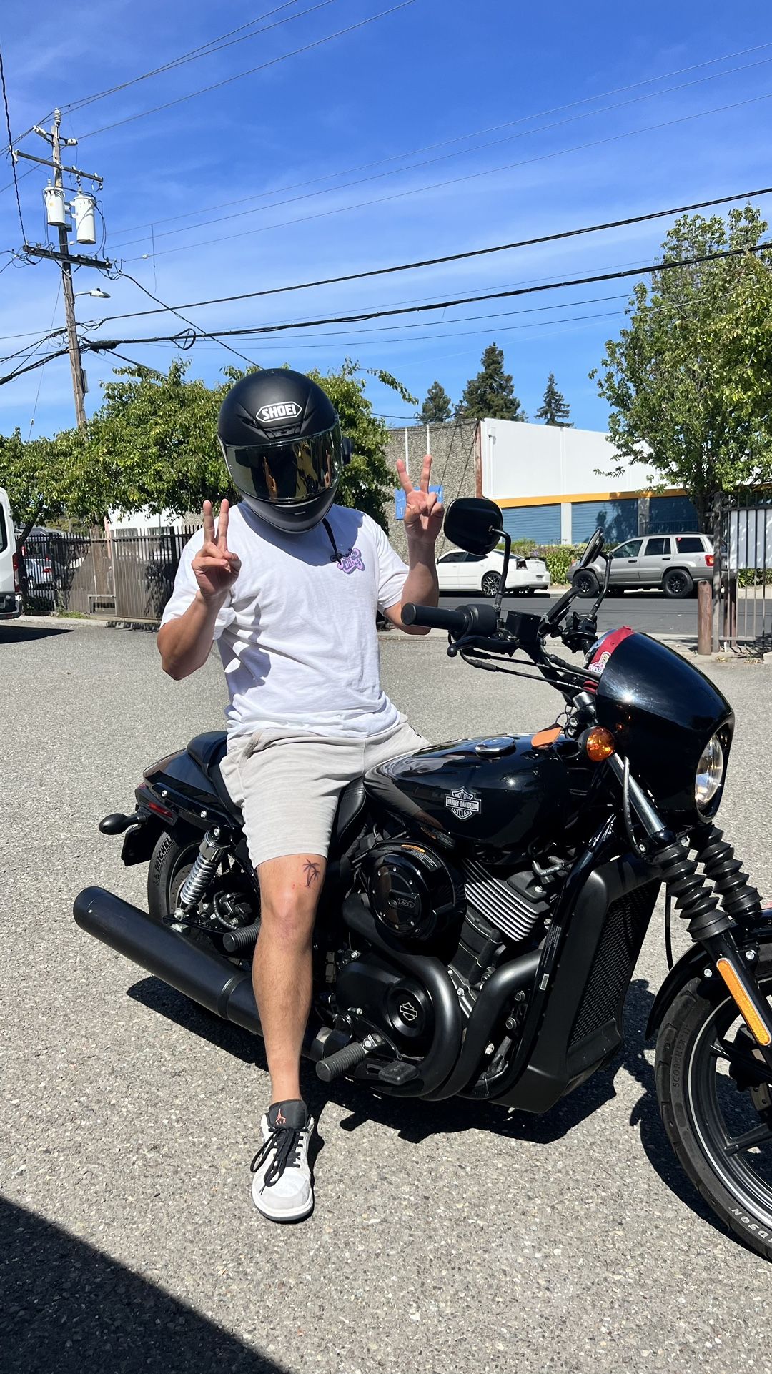 2017 Harley Davidson Street Bike