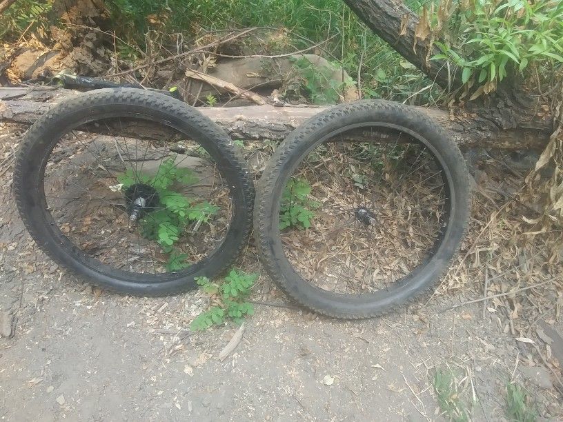 Mountain Bike