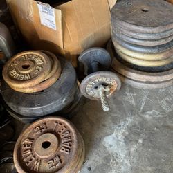 Free Weights And Weighted Vest