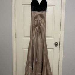 Champagne And Black Mermaid Dress