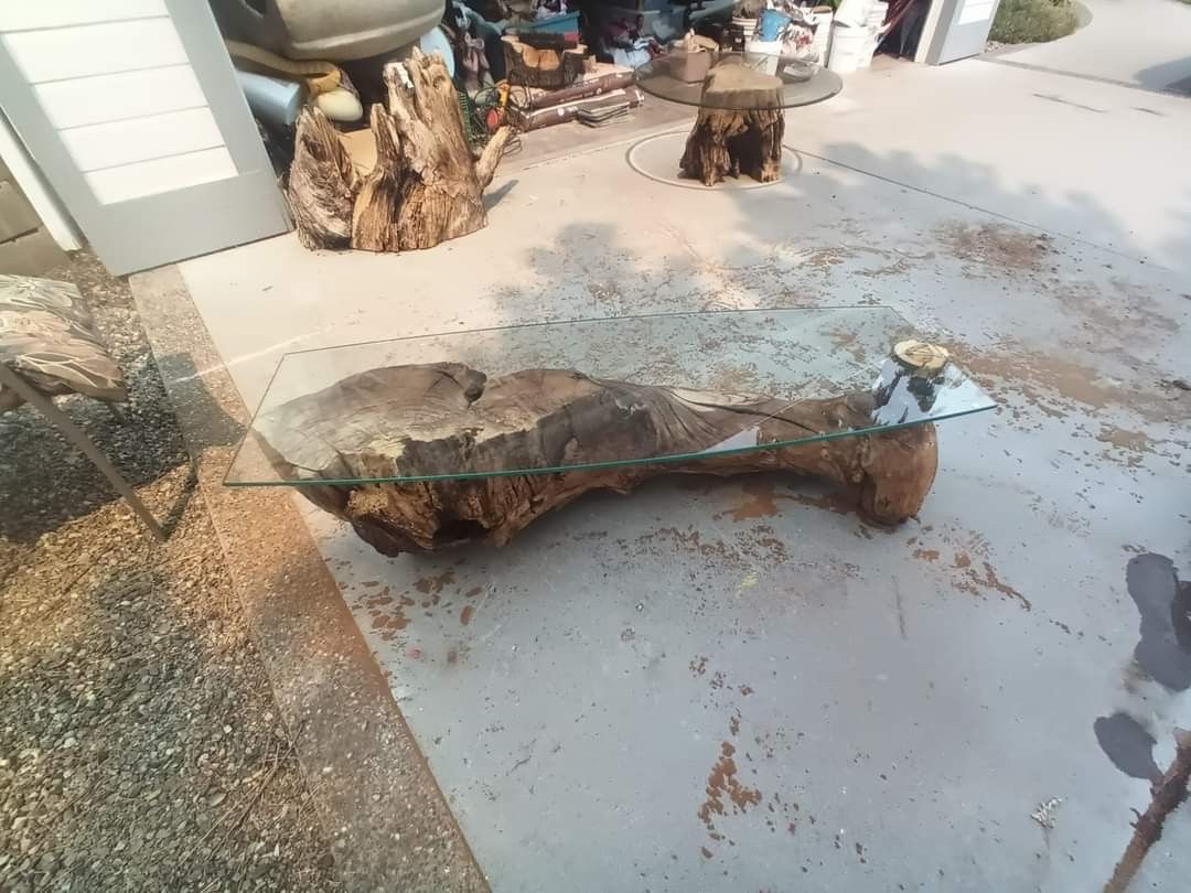 Tree Stump Coffee Table