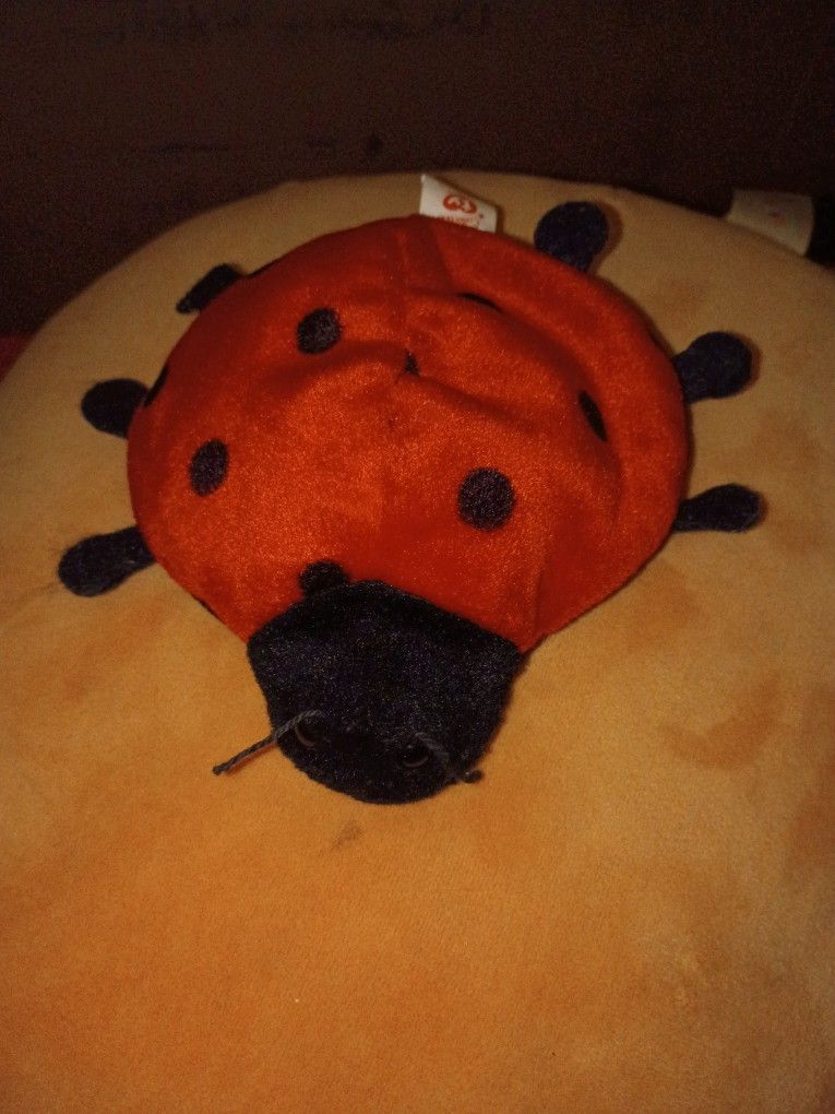 Ty Beanie Original Baby (Lucky)No Ty Tag P.V.c