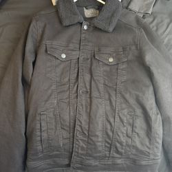 Hollister Winter Jacket