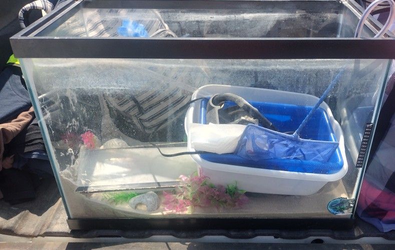 20 Gal Fish Tank