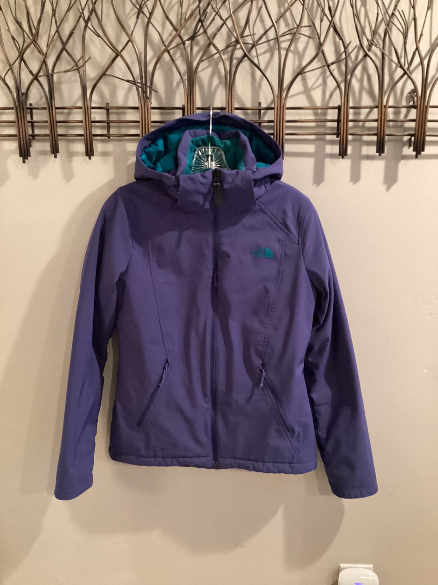 The north face apex elevation jacket