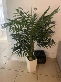 New silk palm tree