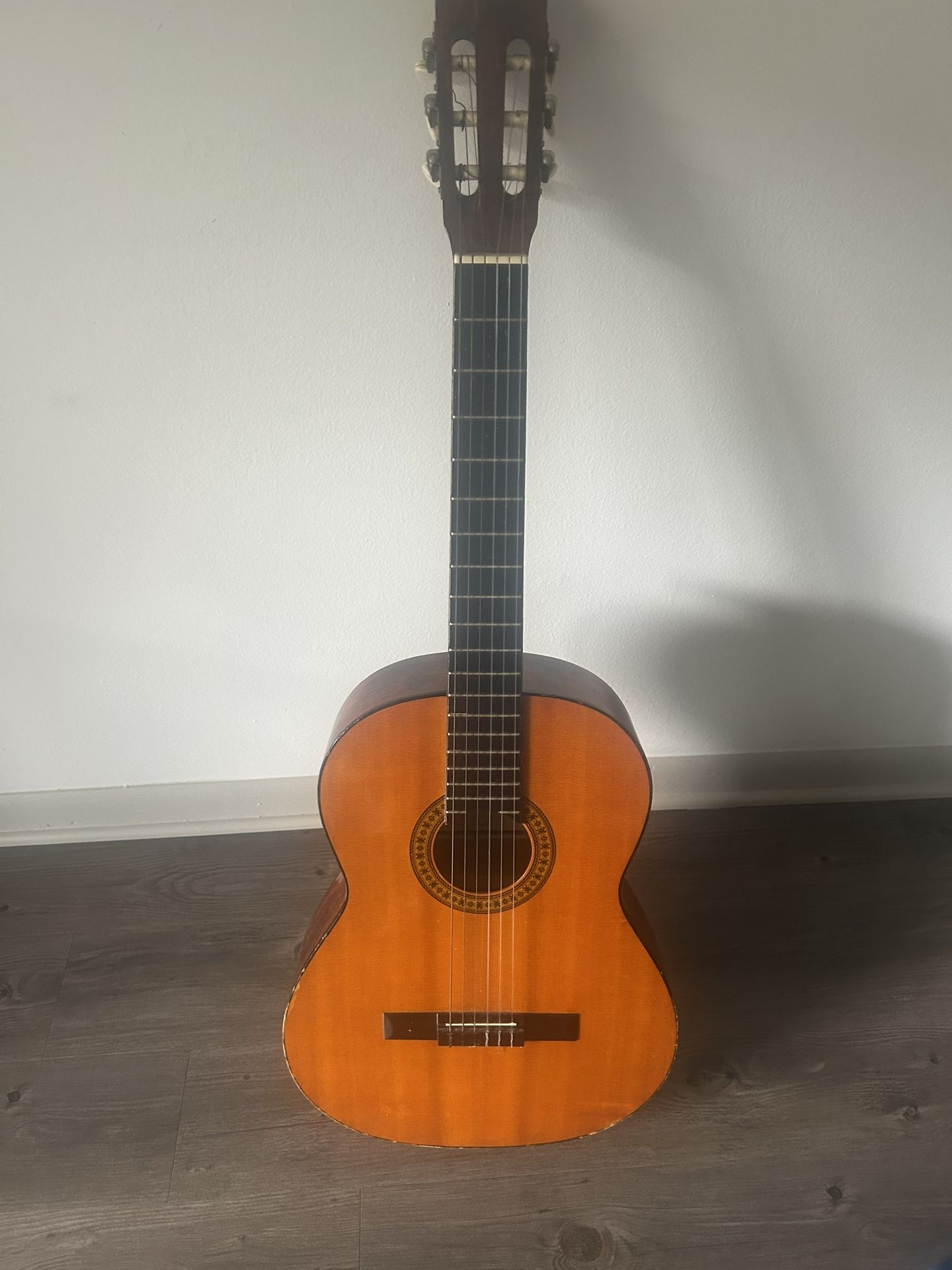 GREMLIN GUITAR ACUSTIC