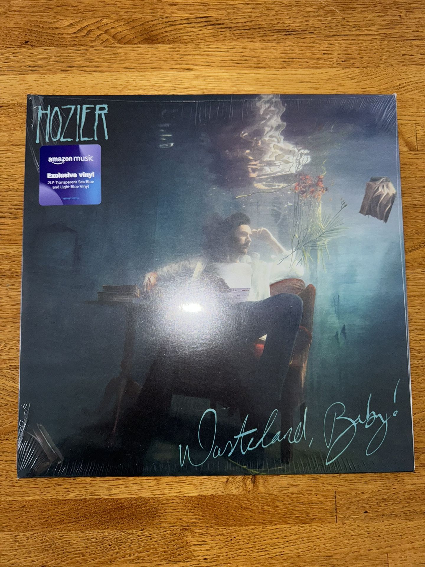 Exclusive Hozier "Wasteland, Baby!" Vinyl Album – Amazon Music Limited Edition