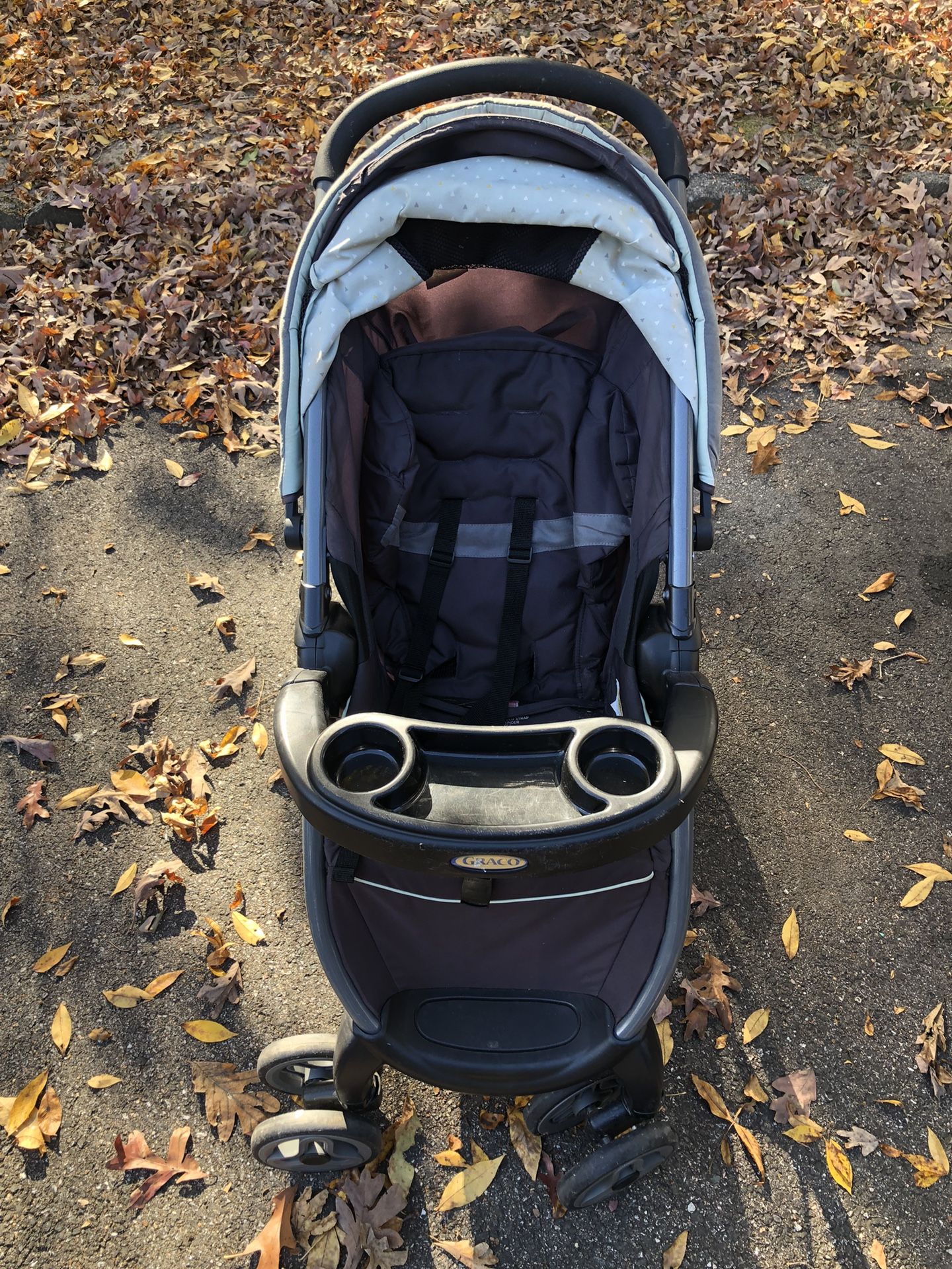 Graco Stroller and Car Seat from non-smoker, pet- free home