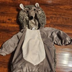 Toddler Costume