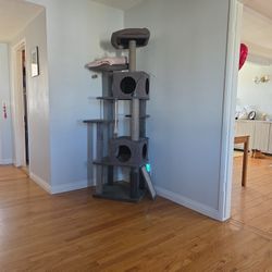 Cat Tree