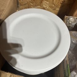 Ceramic Plates  (58 Plates )