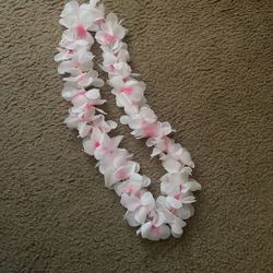Hawaii Lace Flower