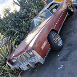 MUST GO!!! 4500$ OBO....TRADE