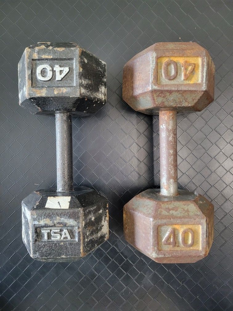 Dumbbells (40lbs Pair)
