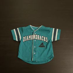 Randy Johnson Arizona Diamondbacks Baseball Jersey